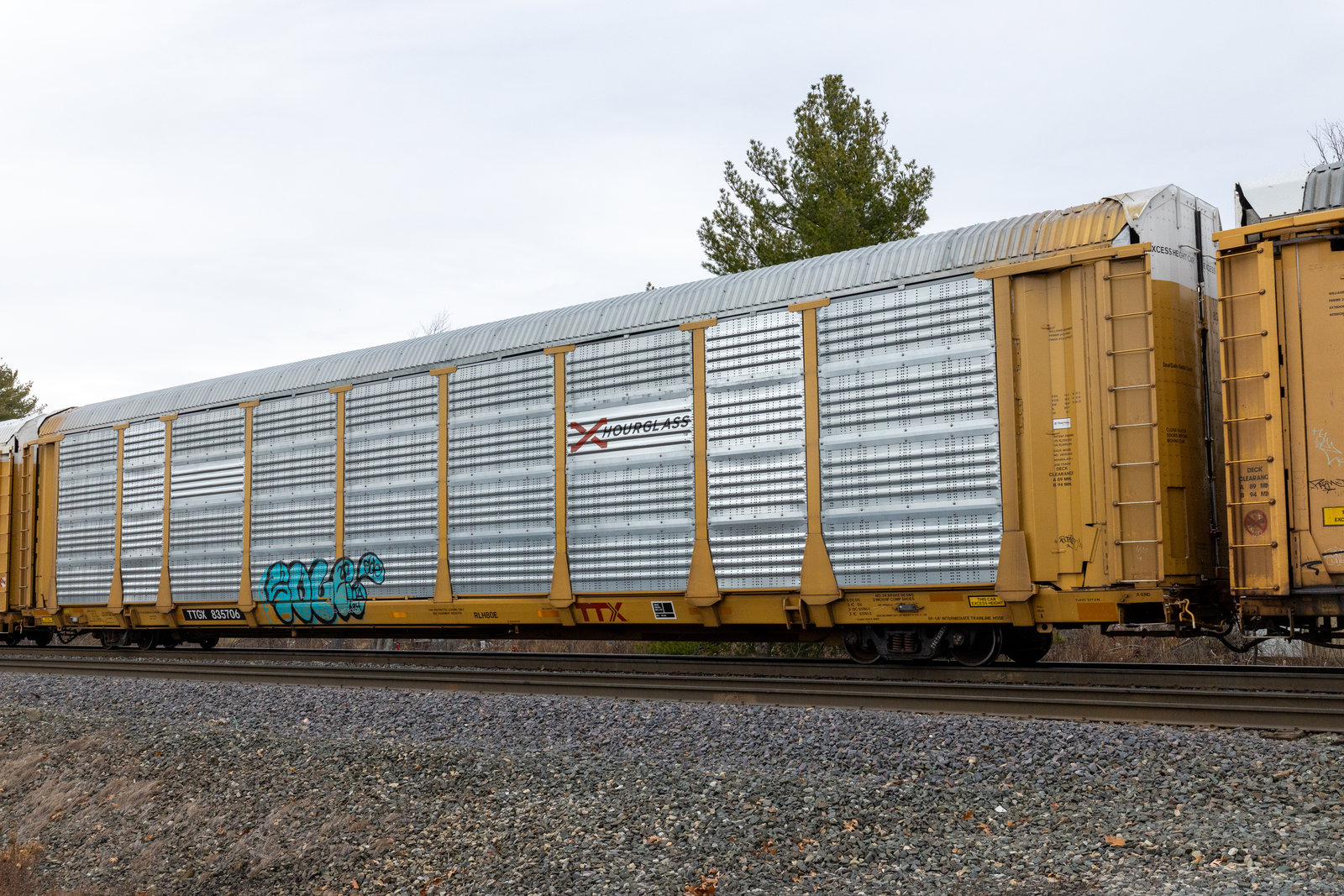 TTGX 835706