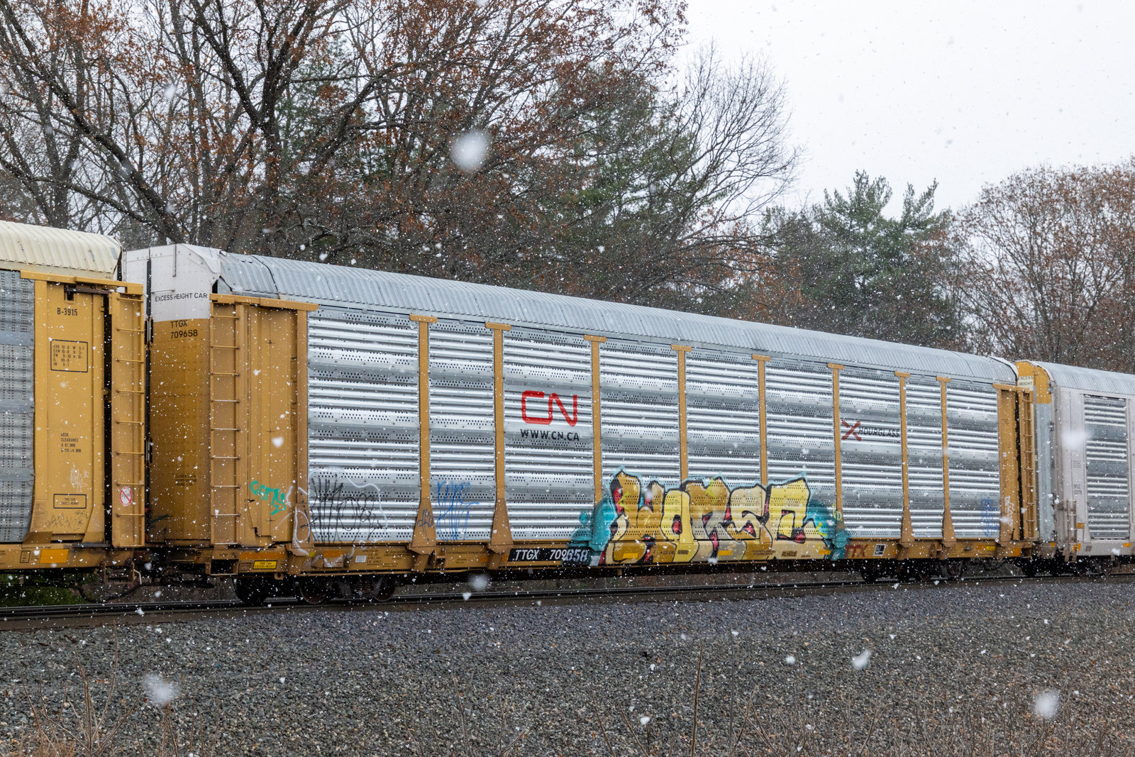 TTGX 709658