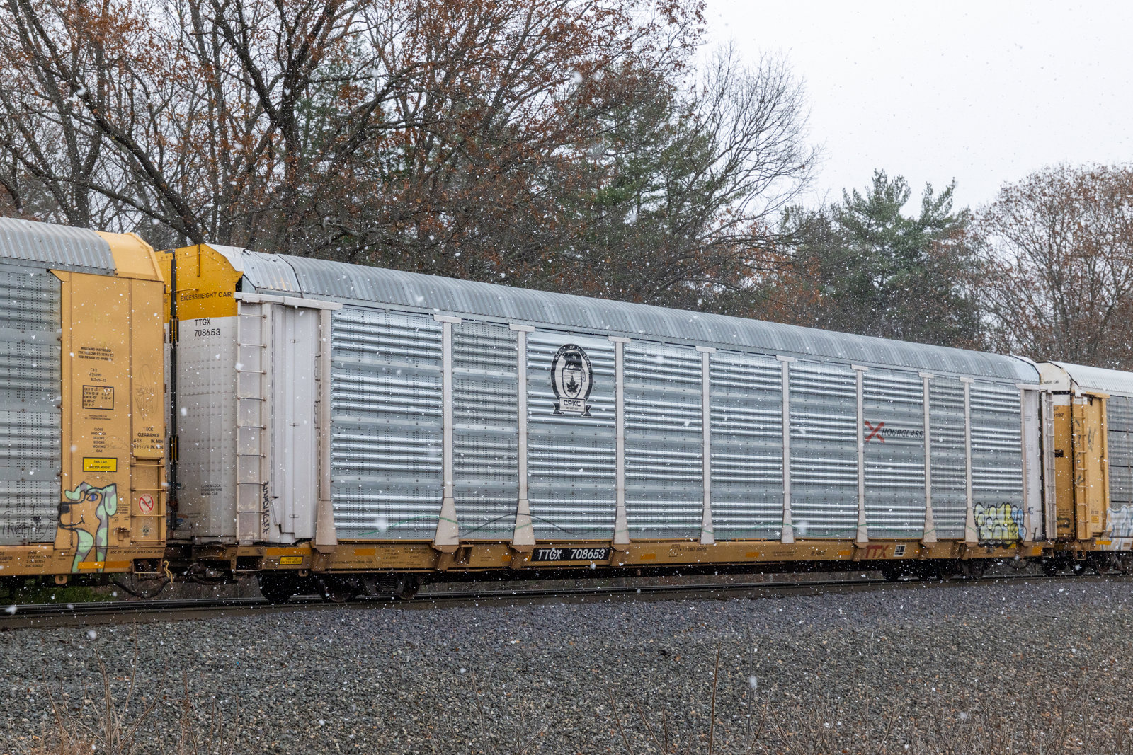 TTGX 708653