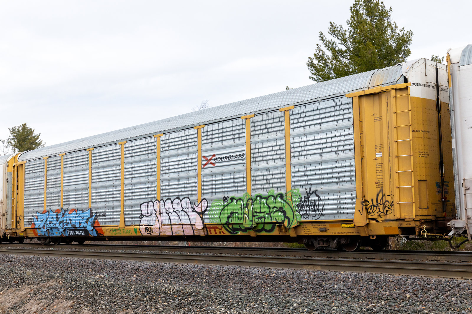 TTGX 701758