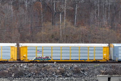 TTGX 820908