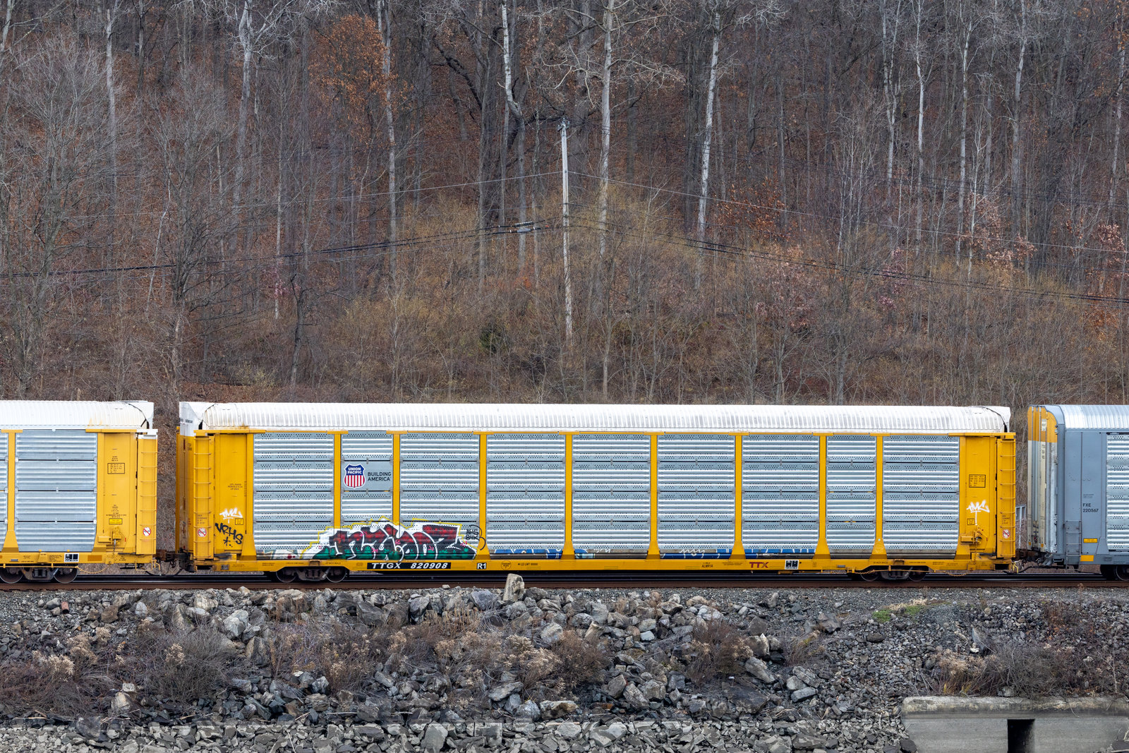 TTGX 820908