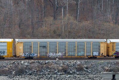 TTGX 700941