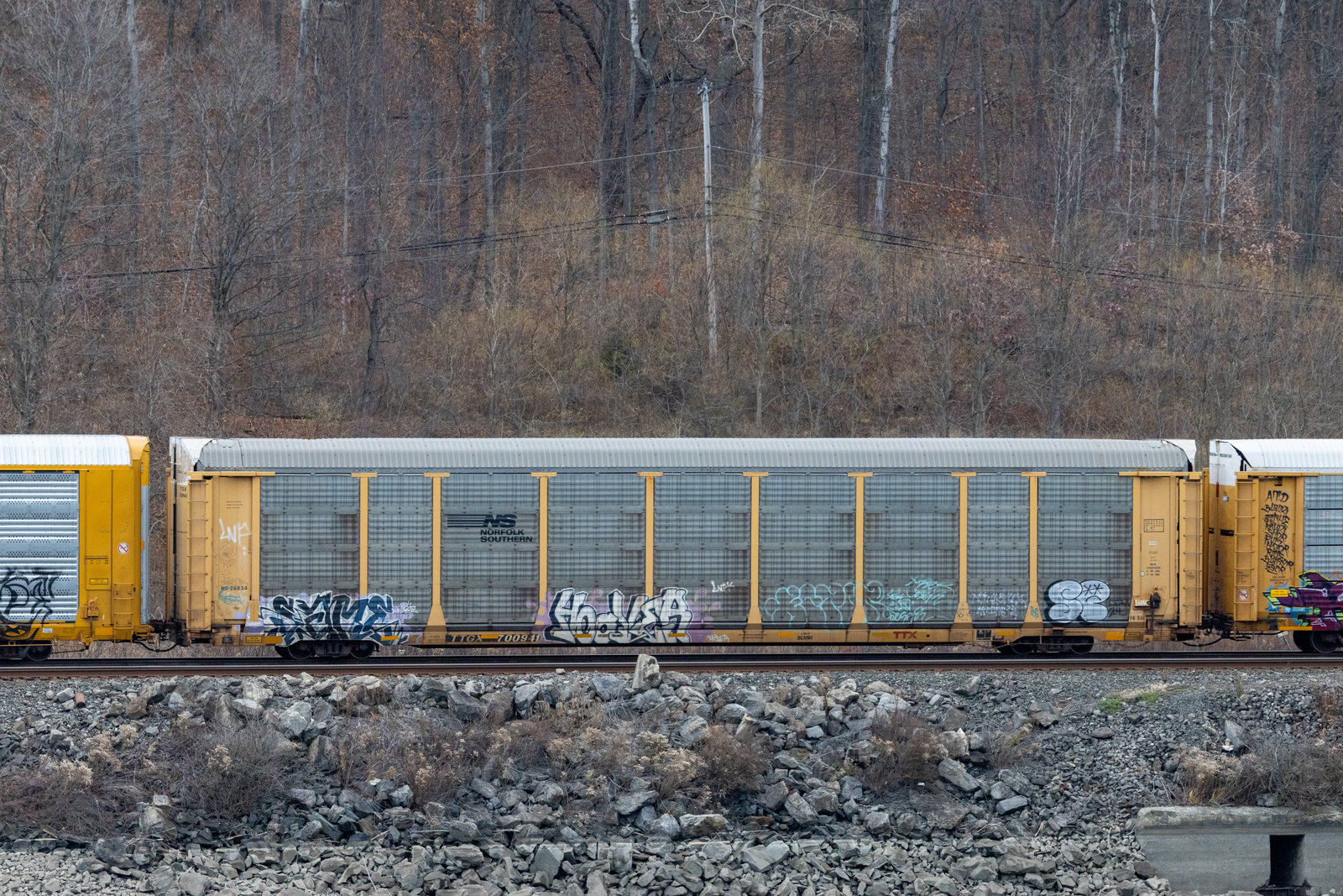 TTGX 700941