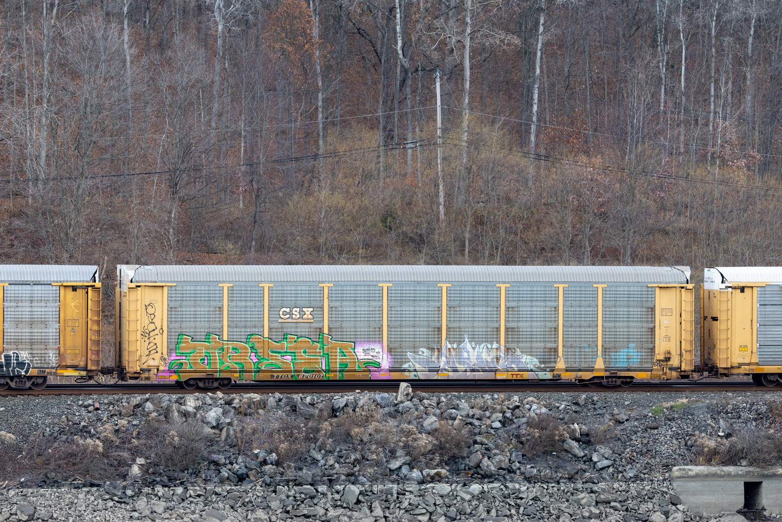 TTGX 820107