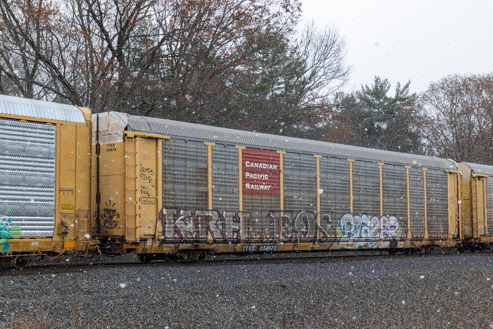 TTGX 851872