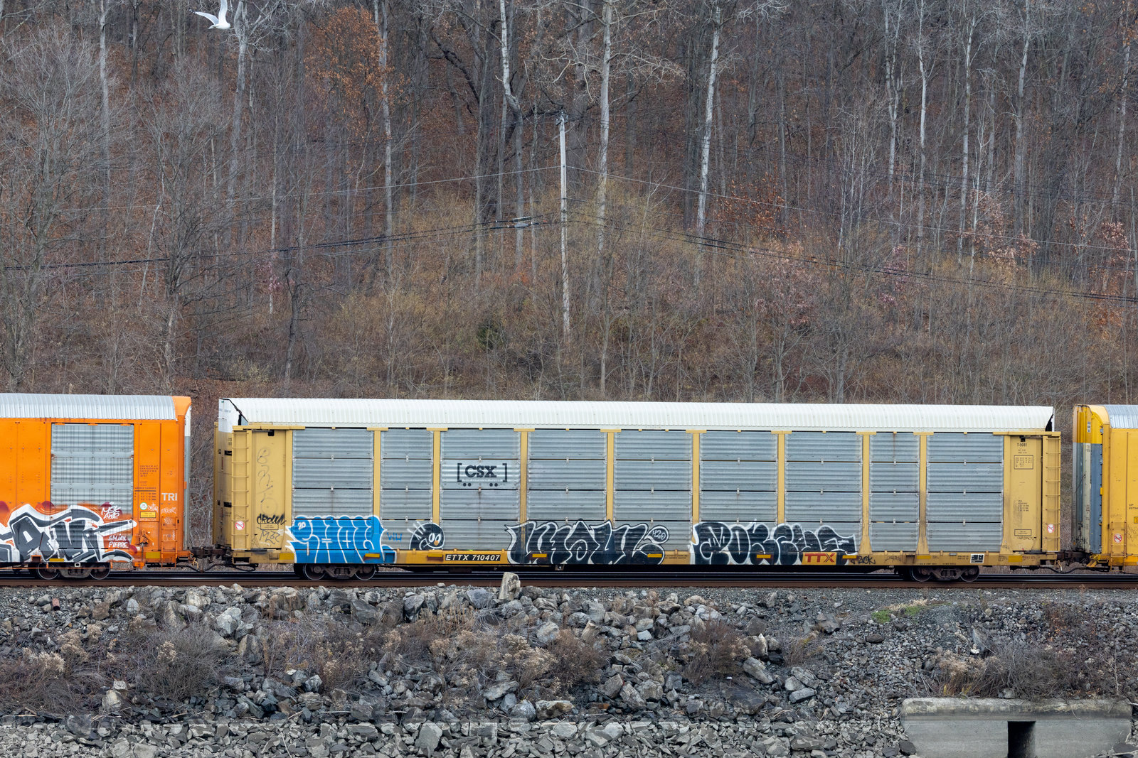 ETTX 710407