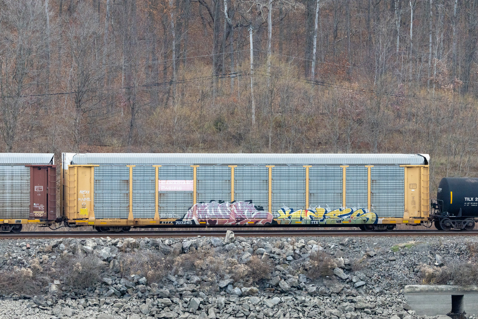 ETTX 703245