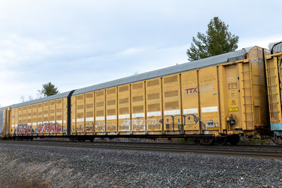 BTTX 880151