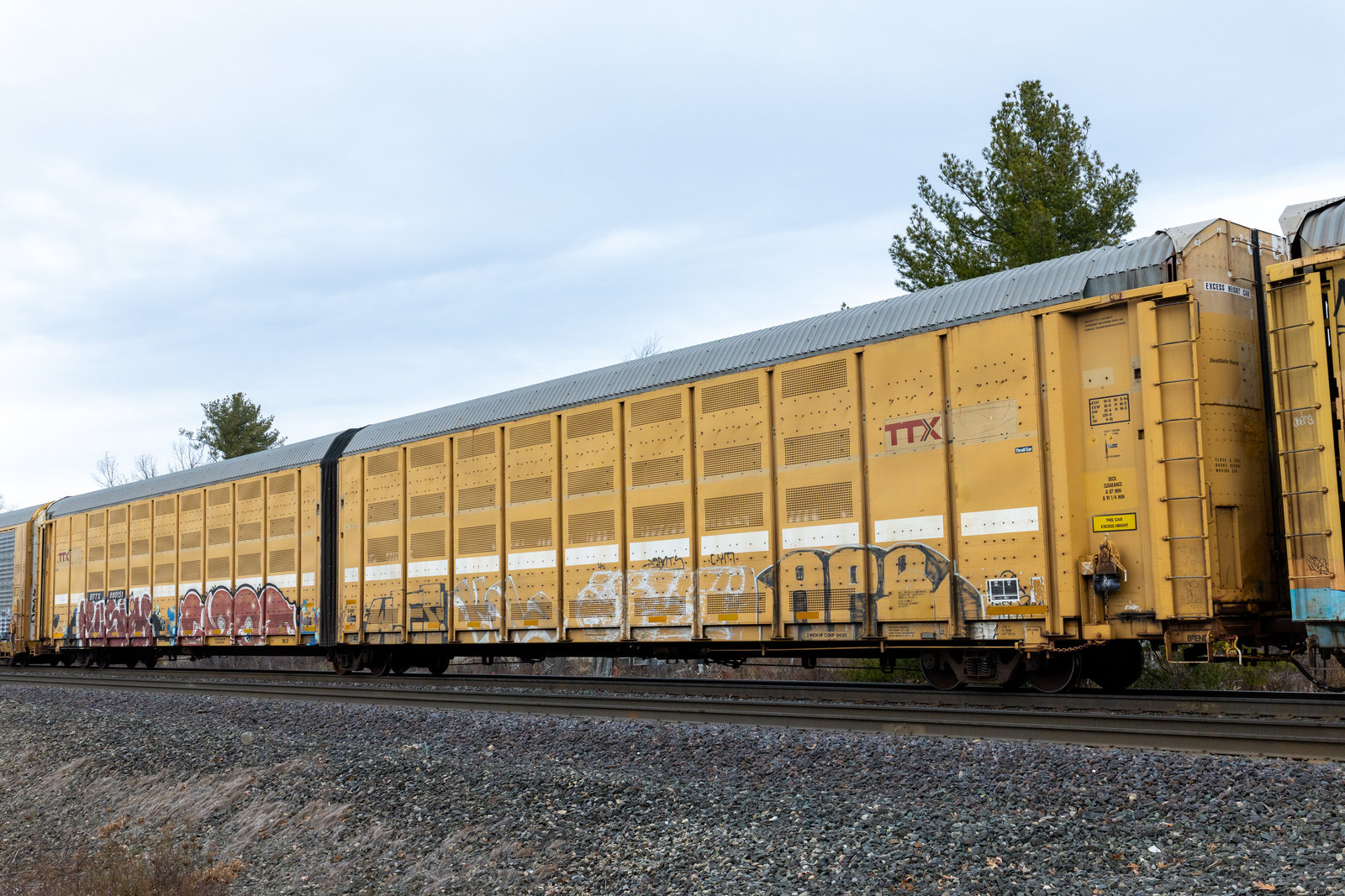 BTTX 880151