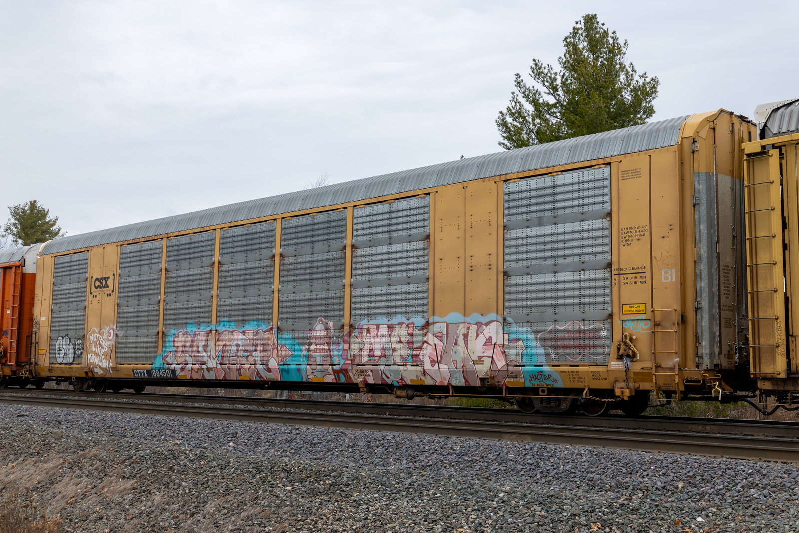 CTTX 694501