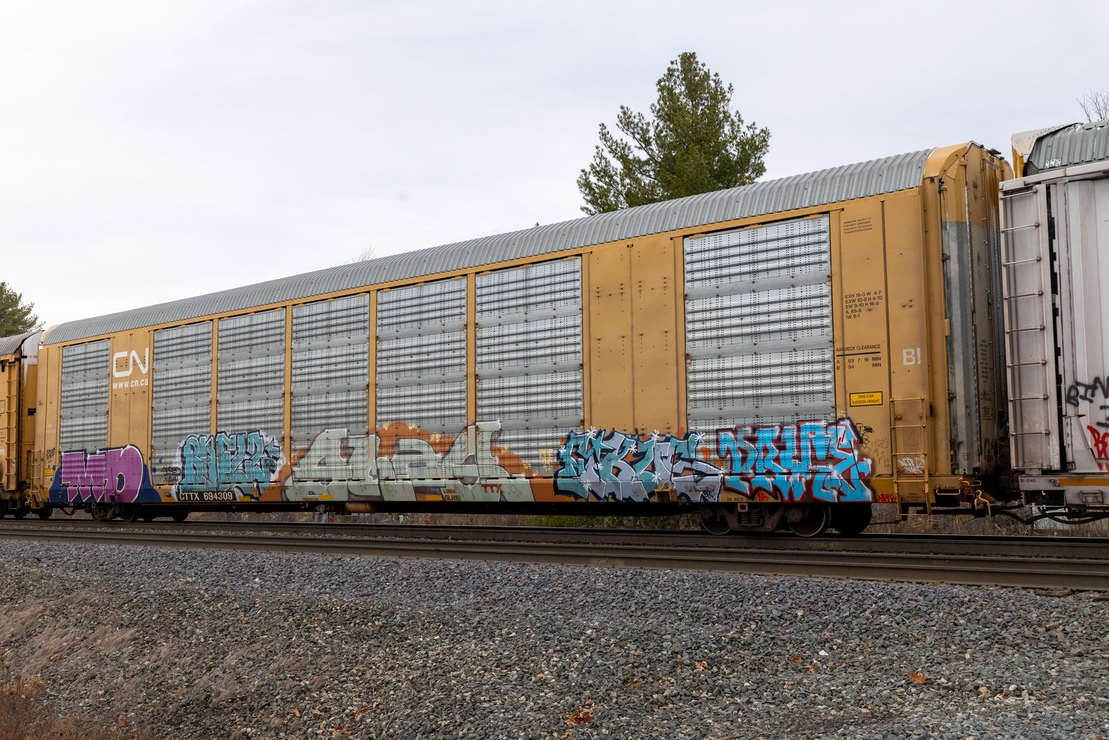 CTTX 694309