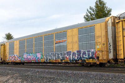 CTTX 690397