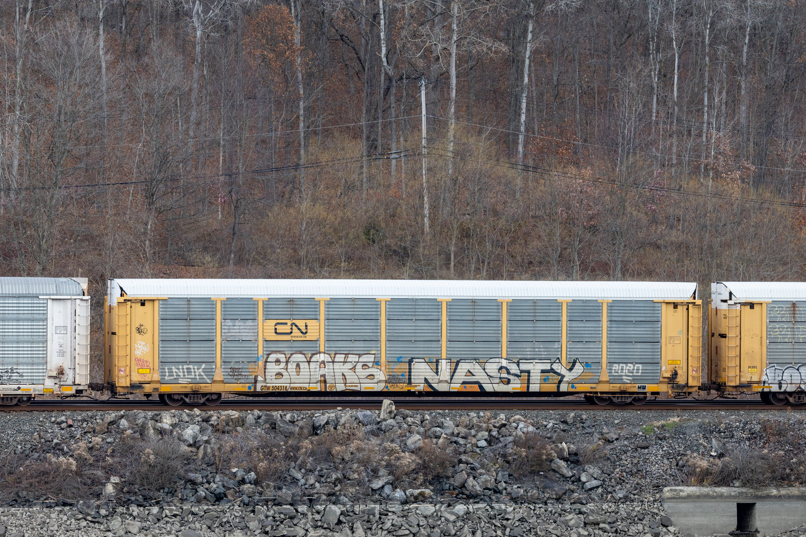 GTW 504316