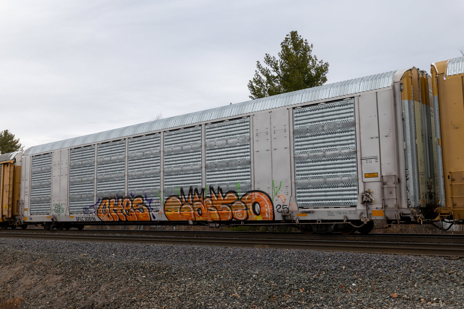 SFLC 308116