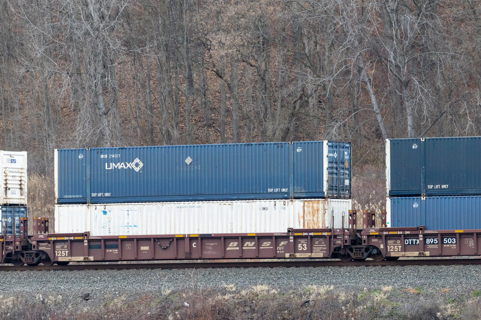 DTTX 895503C