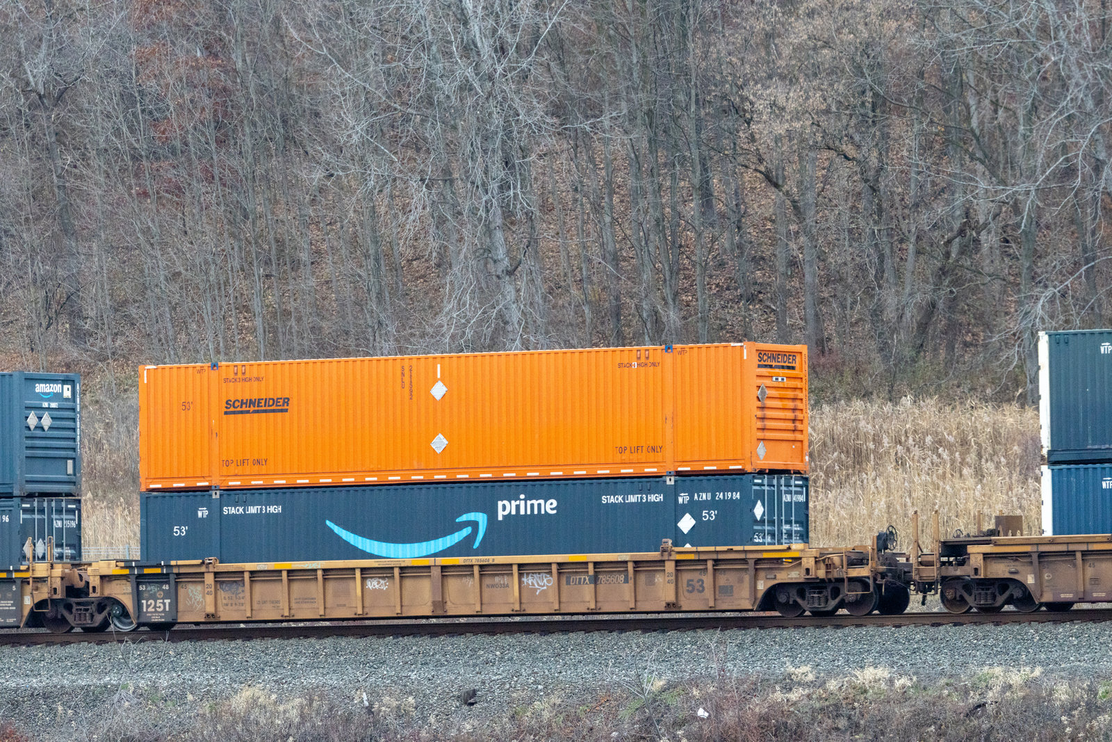 DTTX 785608B