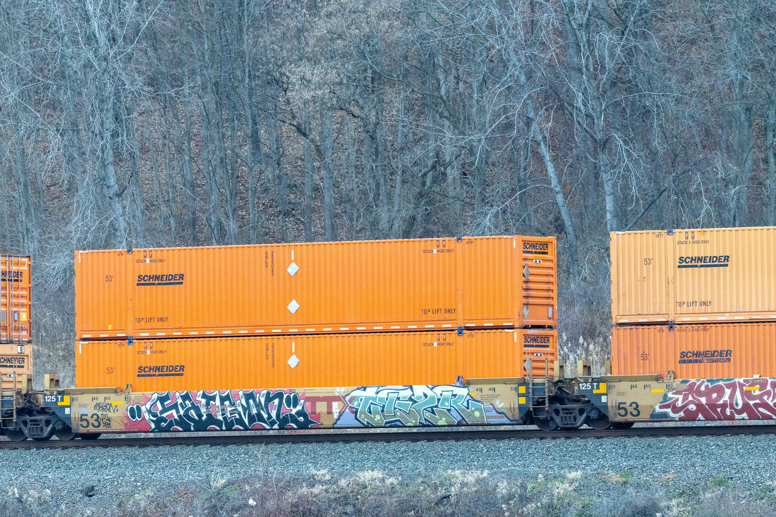 DTTX 768754C