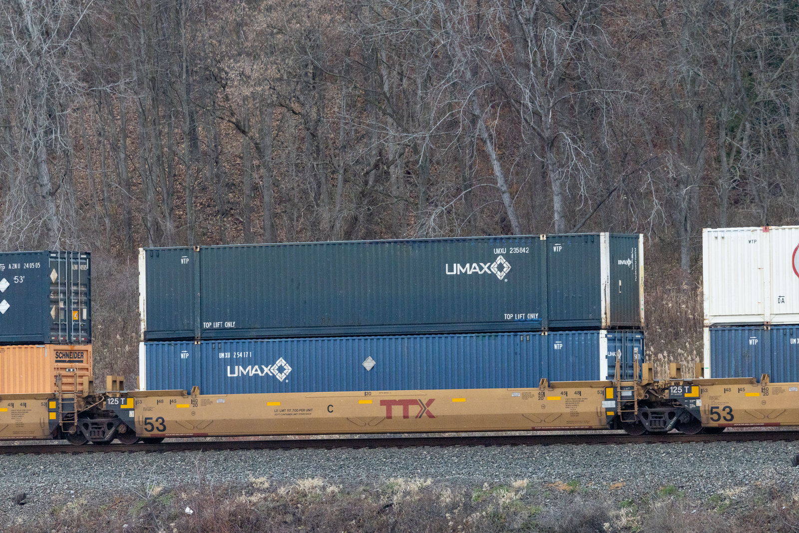 DTTX 769131C