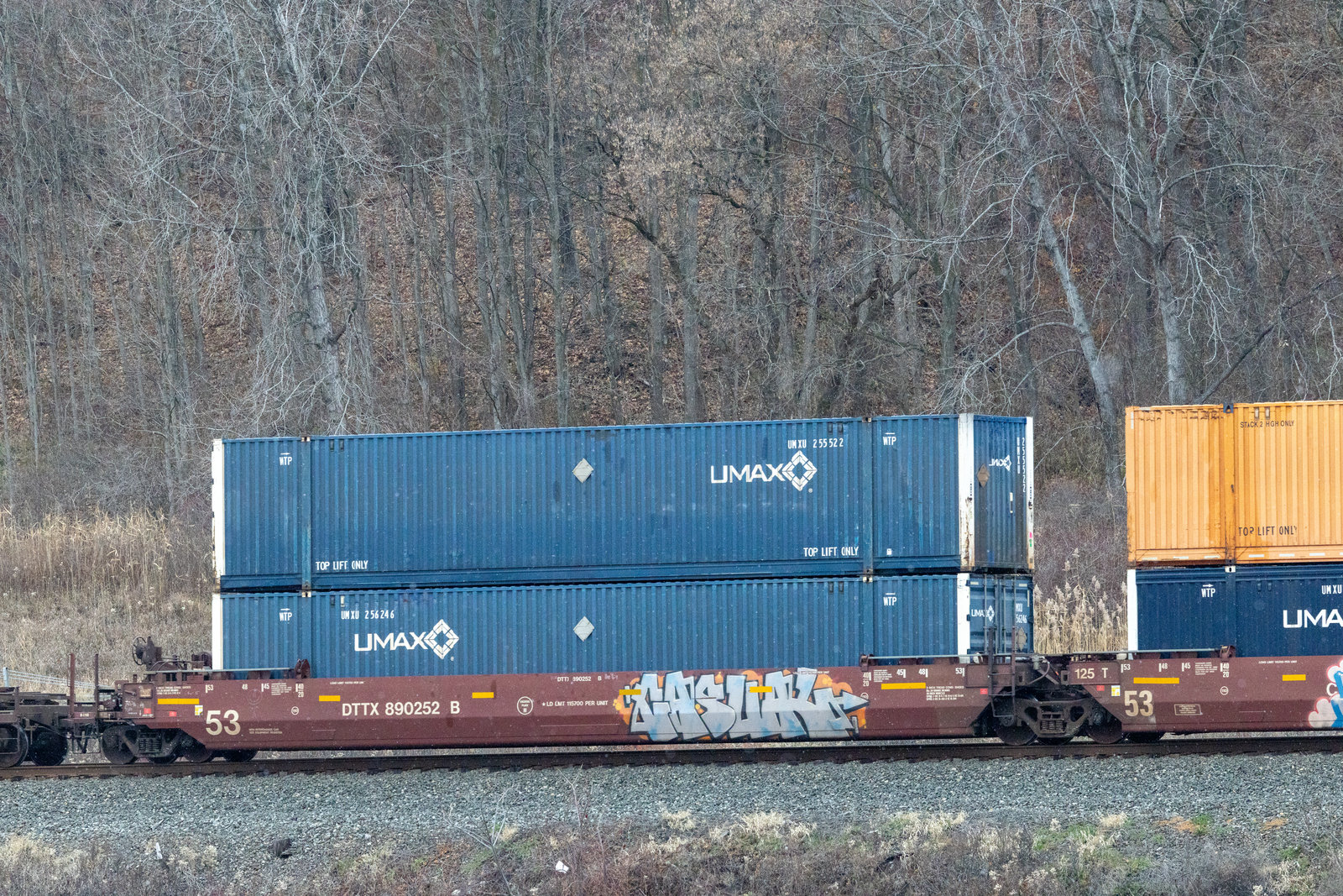 DTTX 890252B
