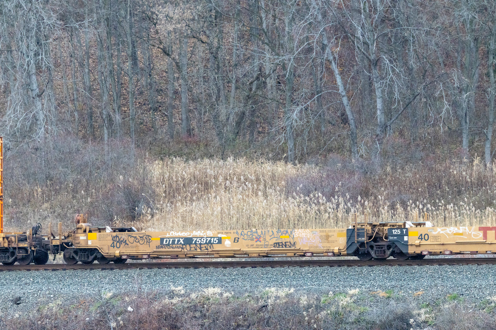 DTTX 759715B