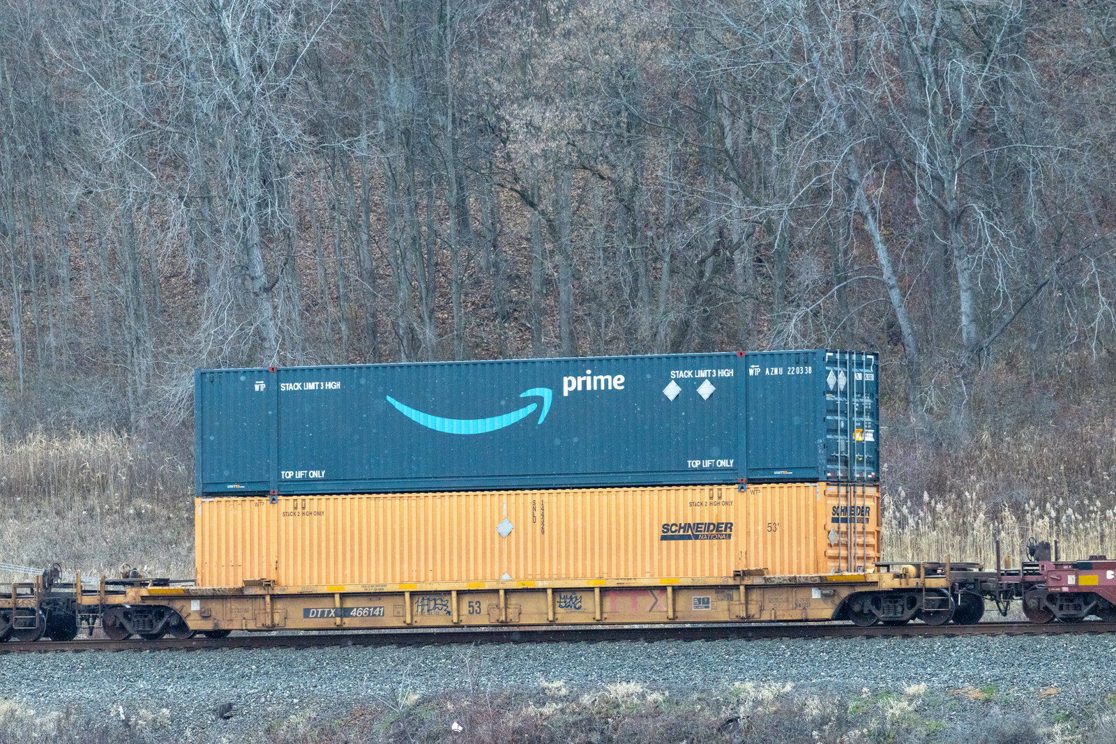 DTTX 466141