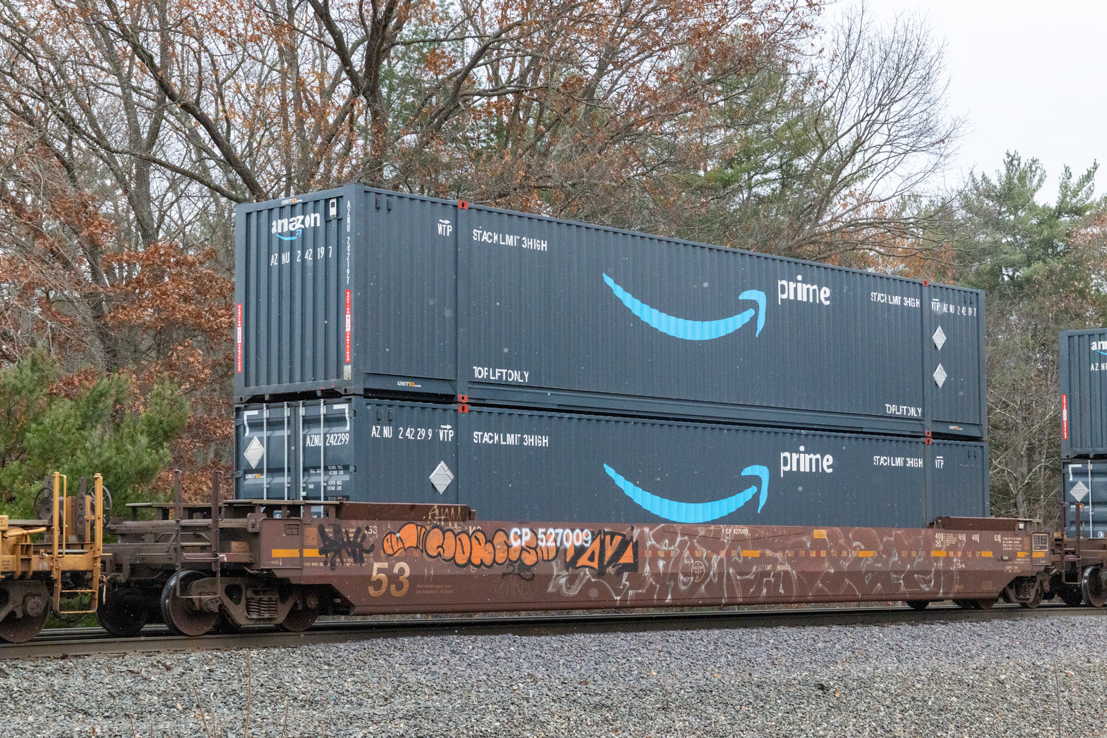 CP 527009