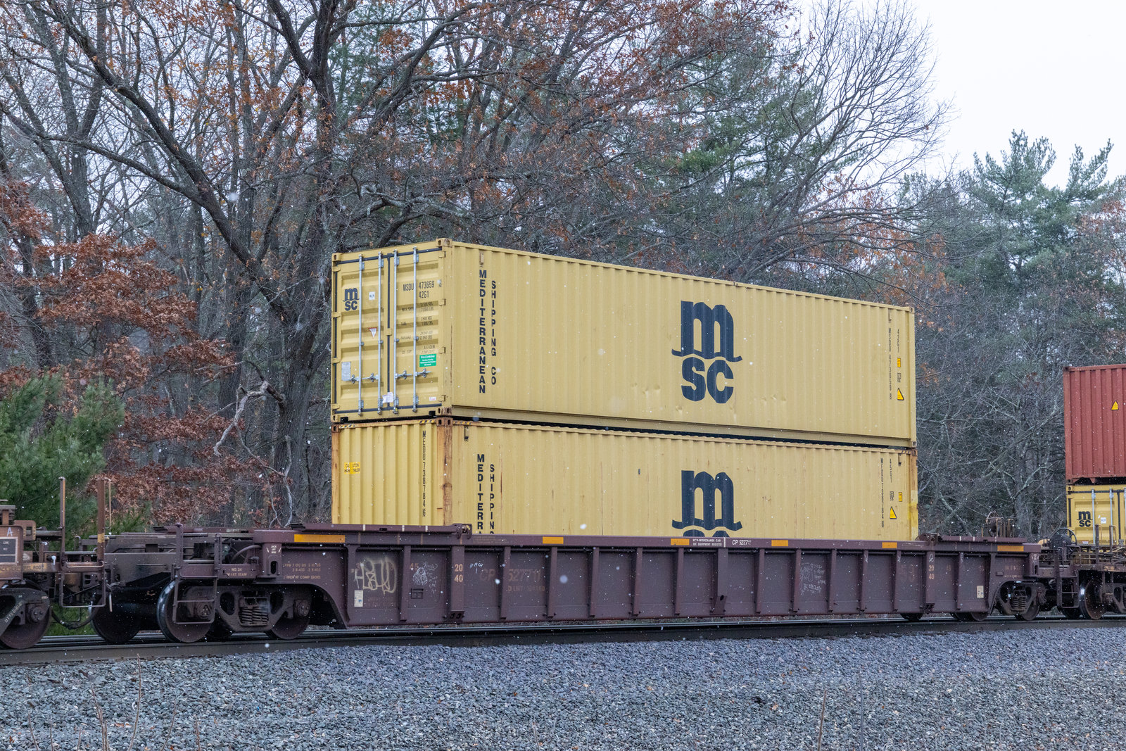 CP 527711