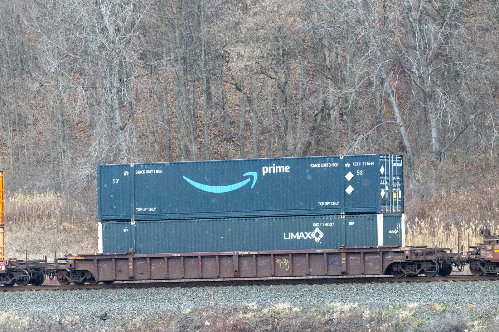 CP 527650
