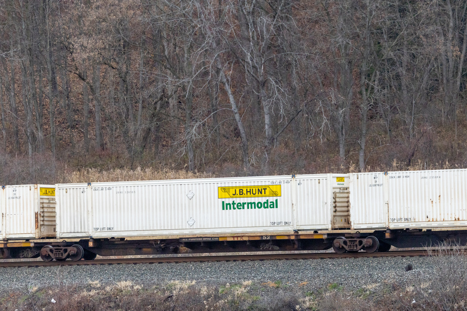TTAX 553682D