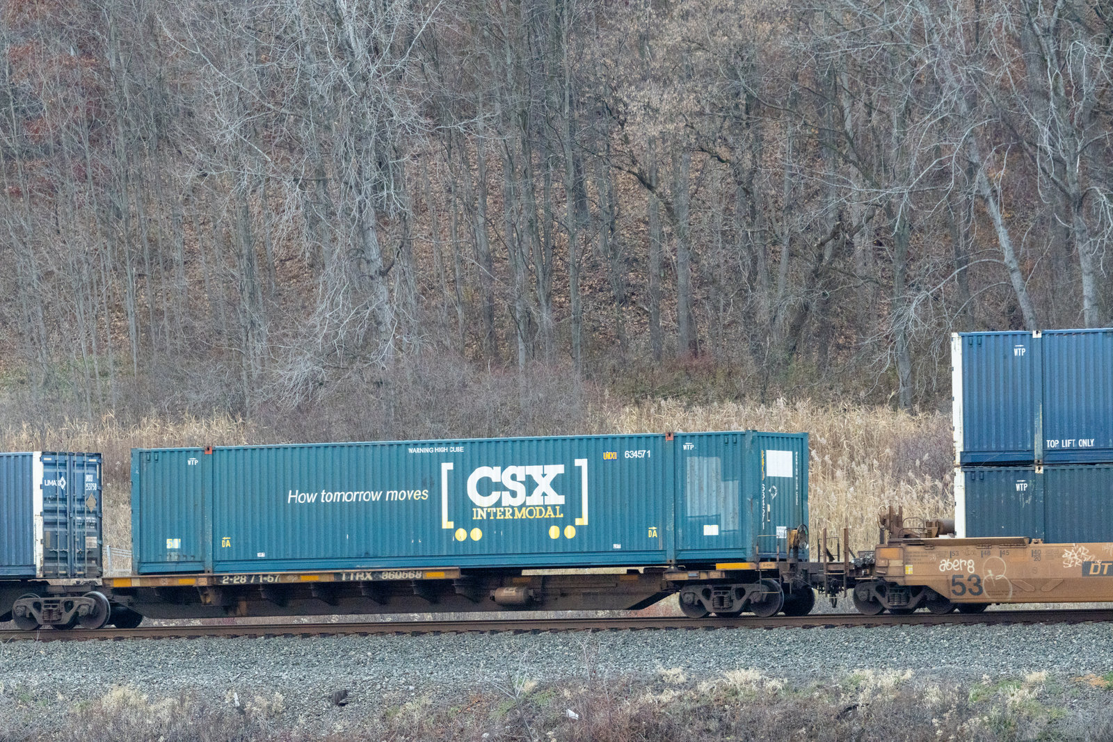 TTRX 360568B