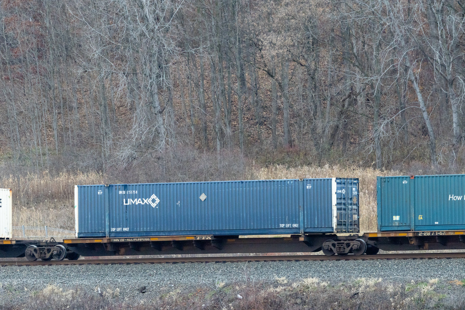 TTRX 360568C