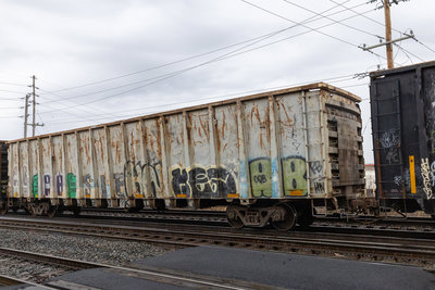 LEWX 1031