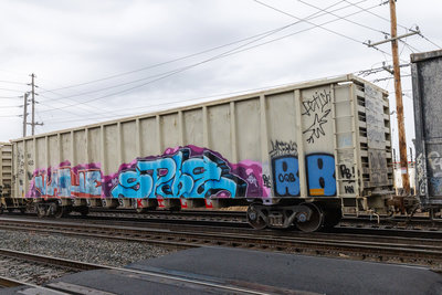 WINX 00453