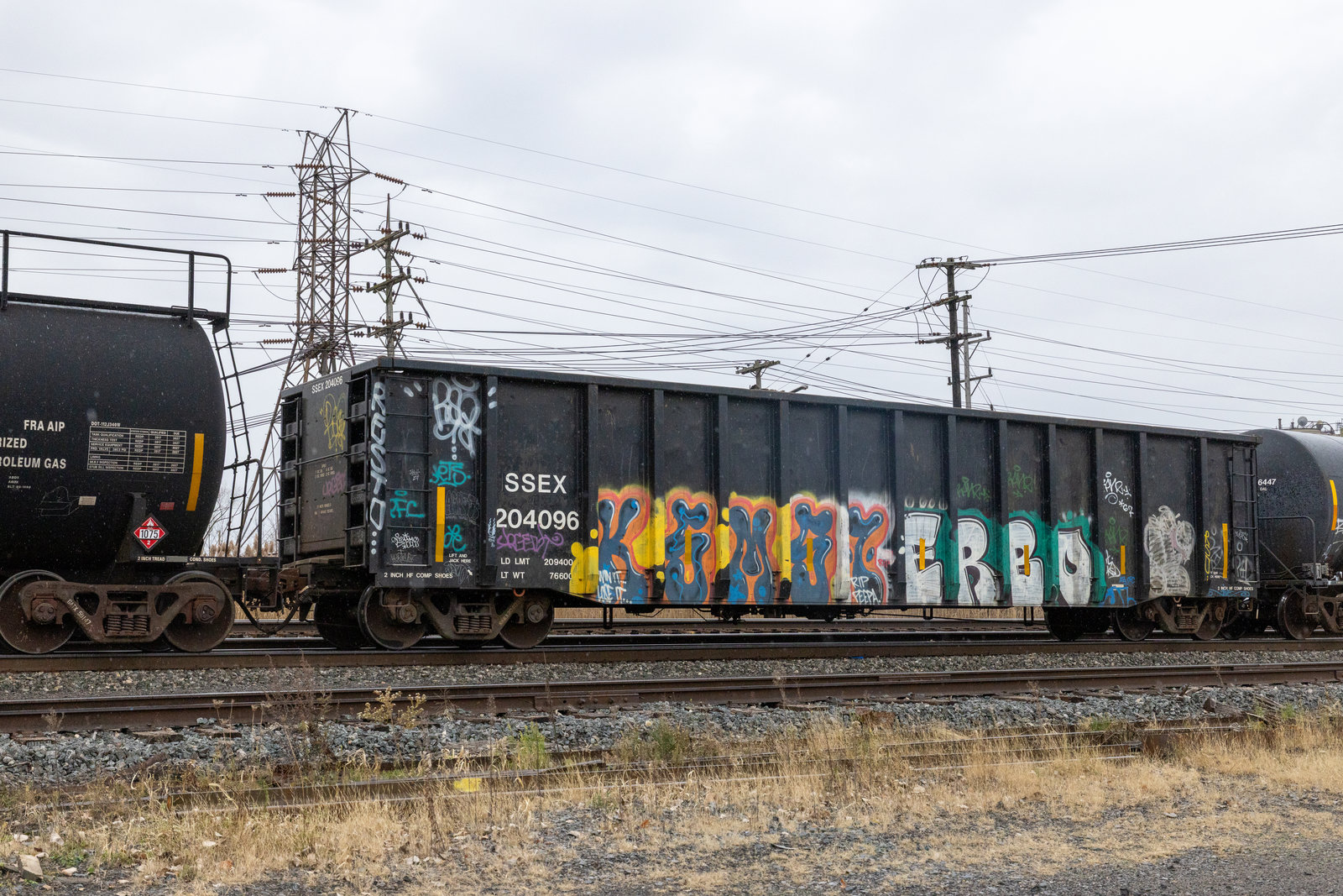 SSEX 204096