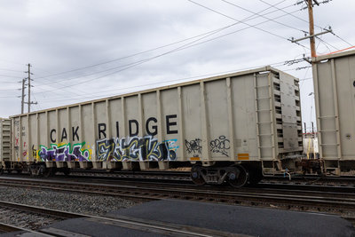 OAKX 0080
