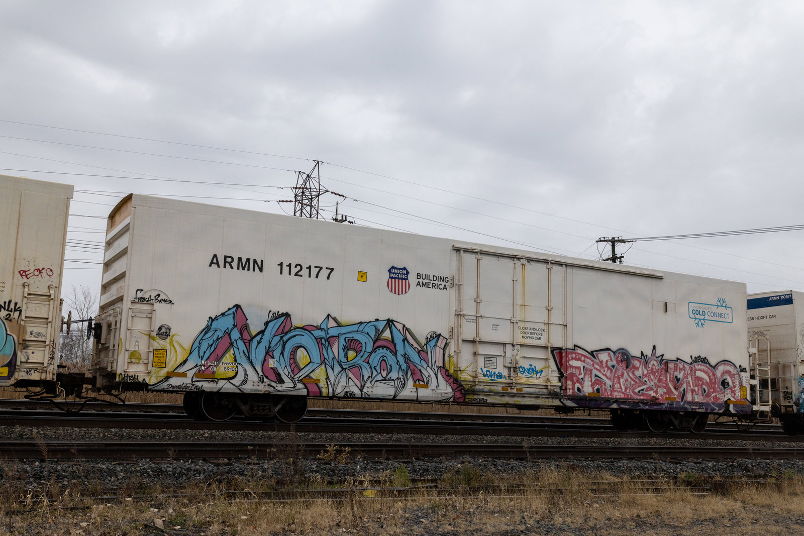ARMN 112177