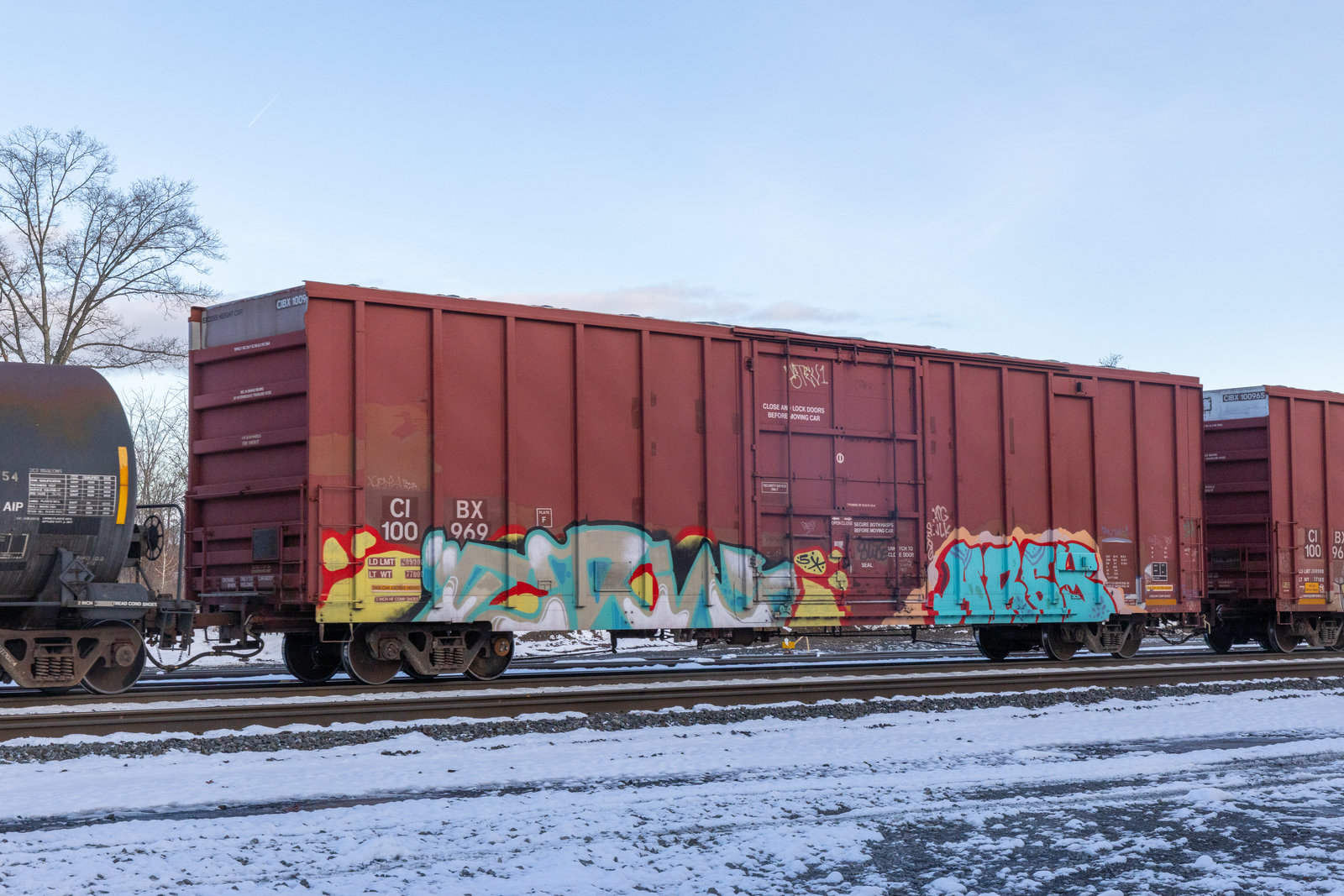 CIBX 100969