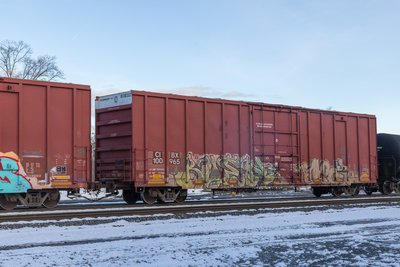 CIBX 100965