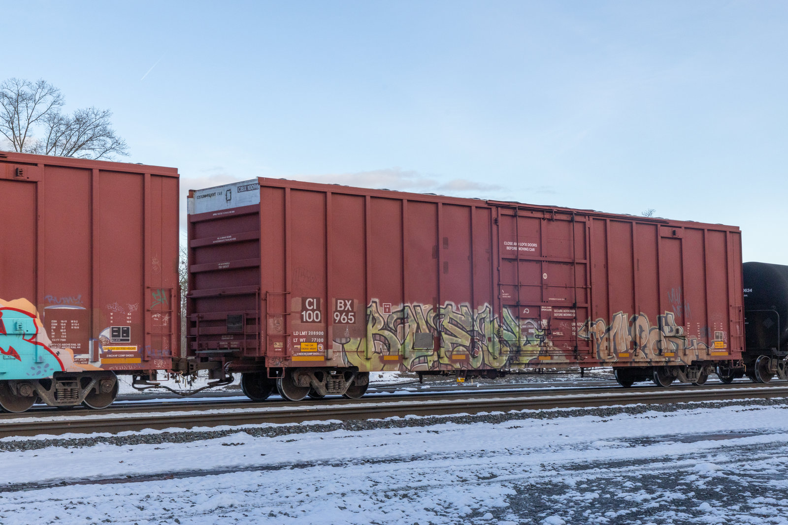 CIBX 100965