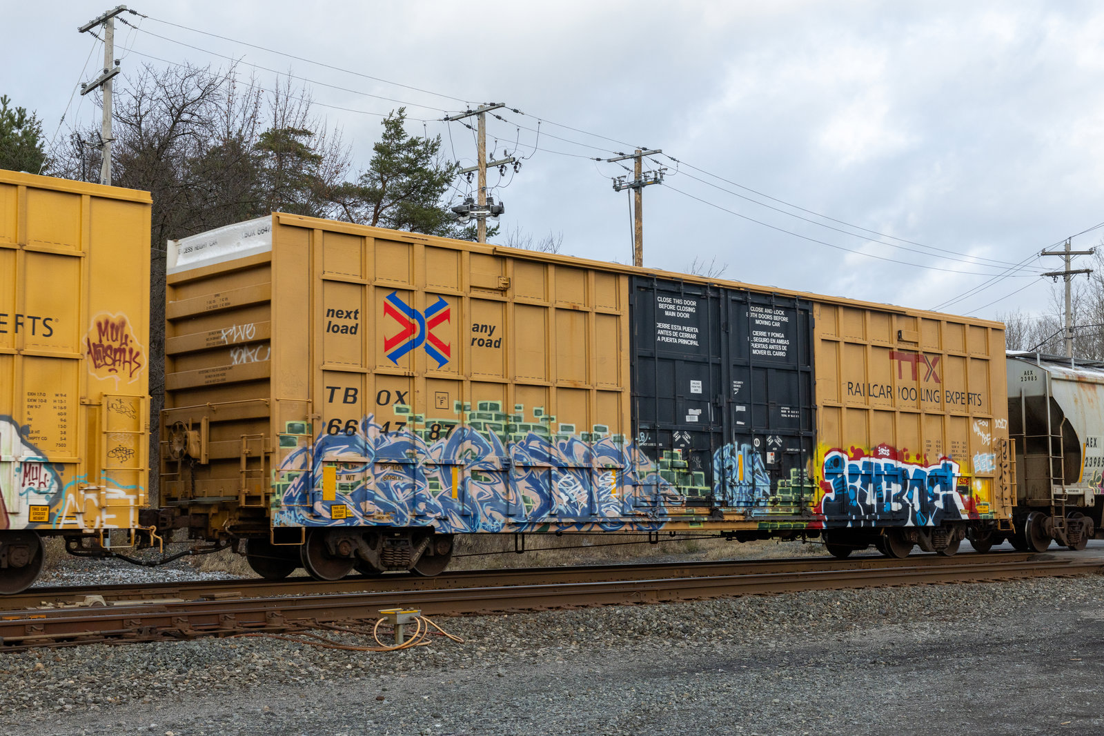 TBOX 664787