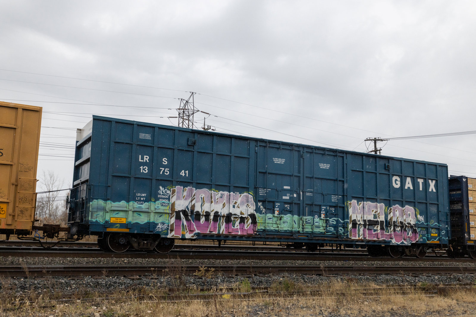LRS 137541