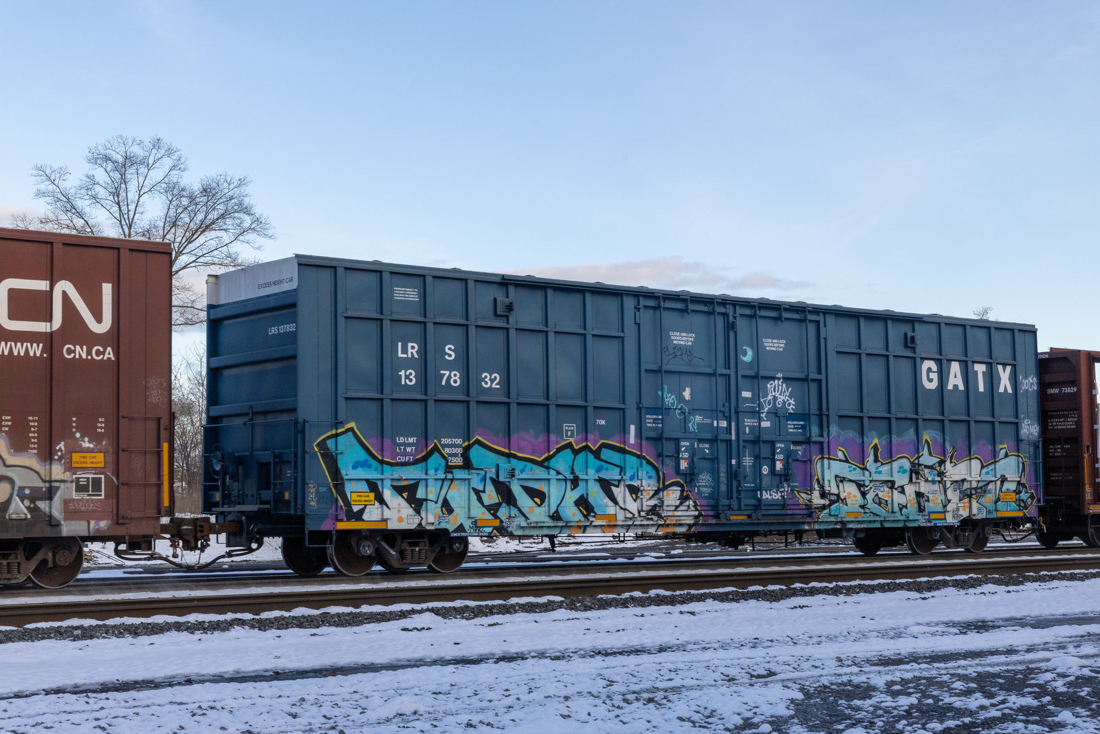 LRS 137832
