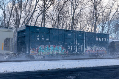 LRS 137602