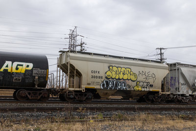 CEFX 300186
