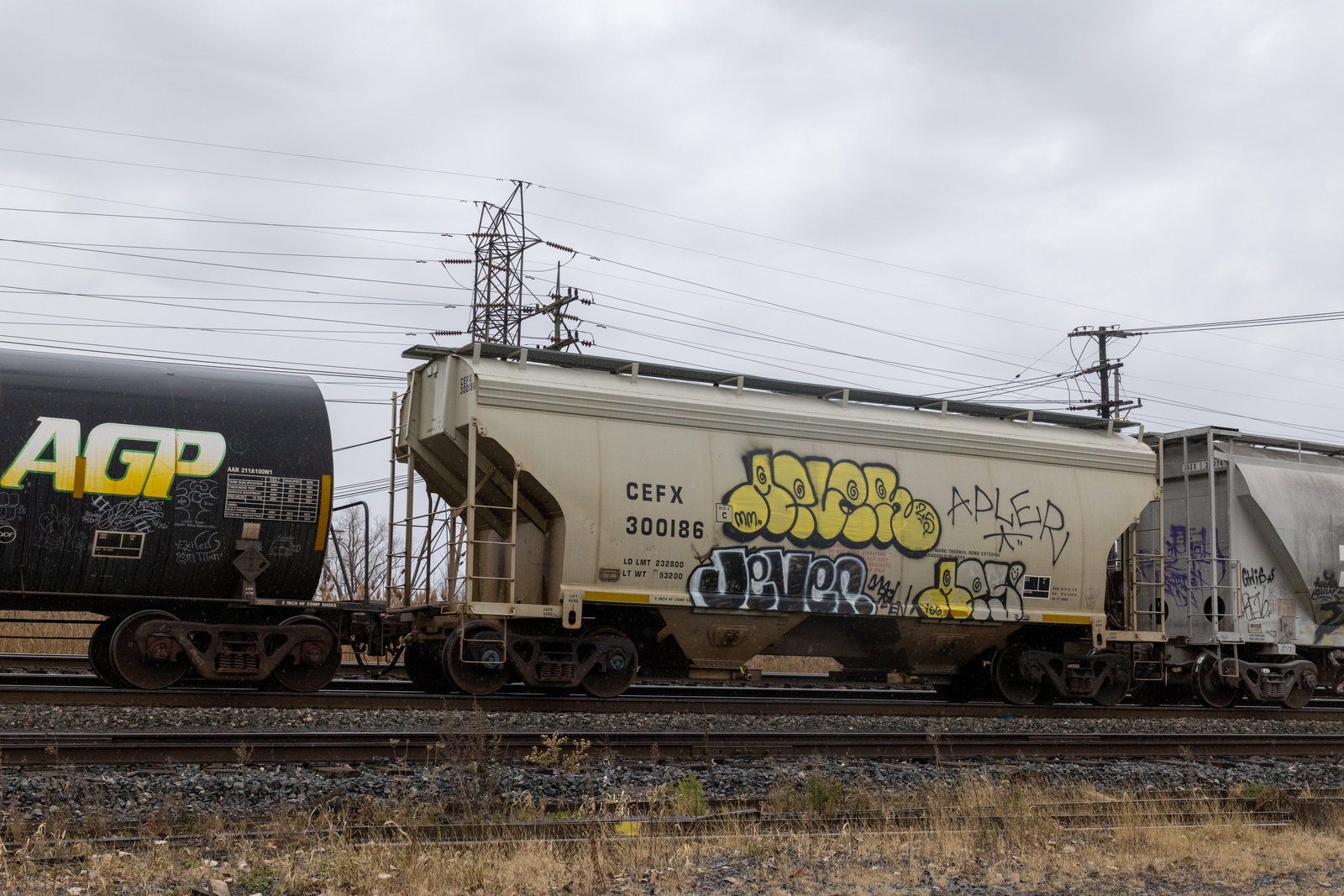 CEFX 300186