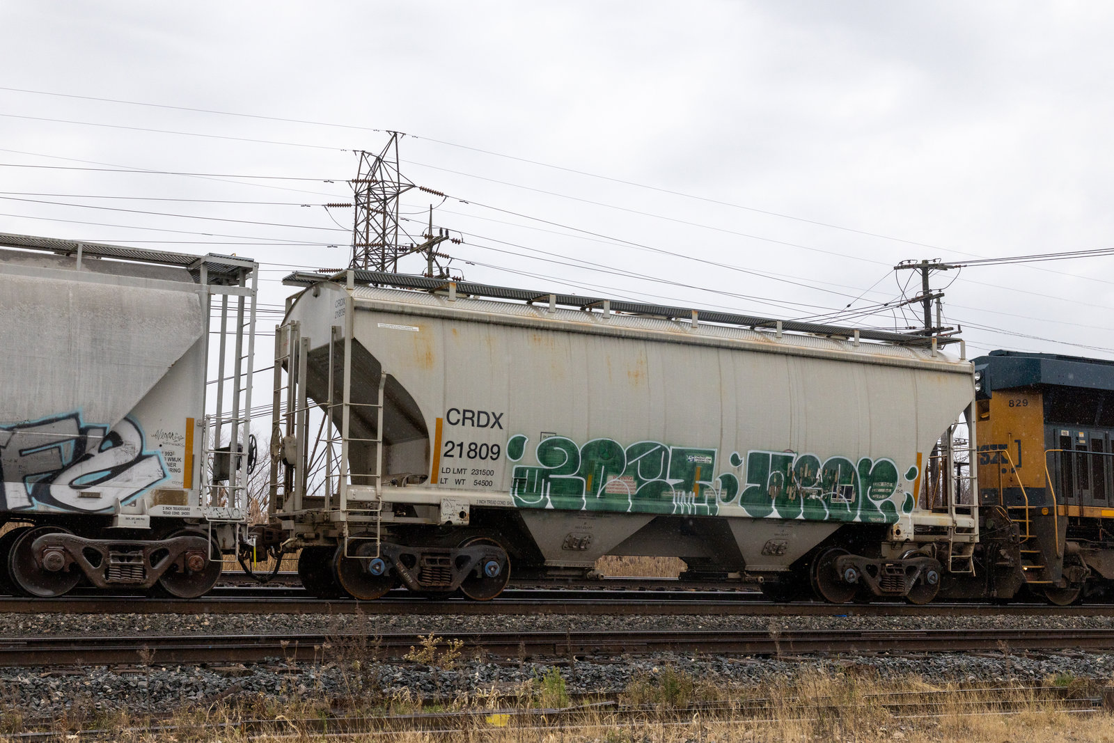 CRDX 21809