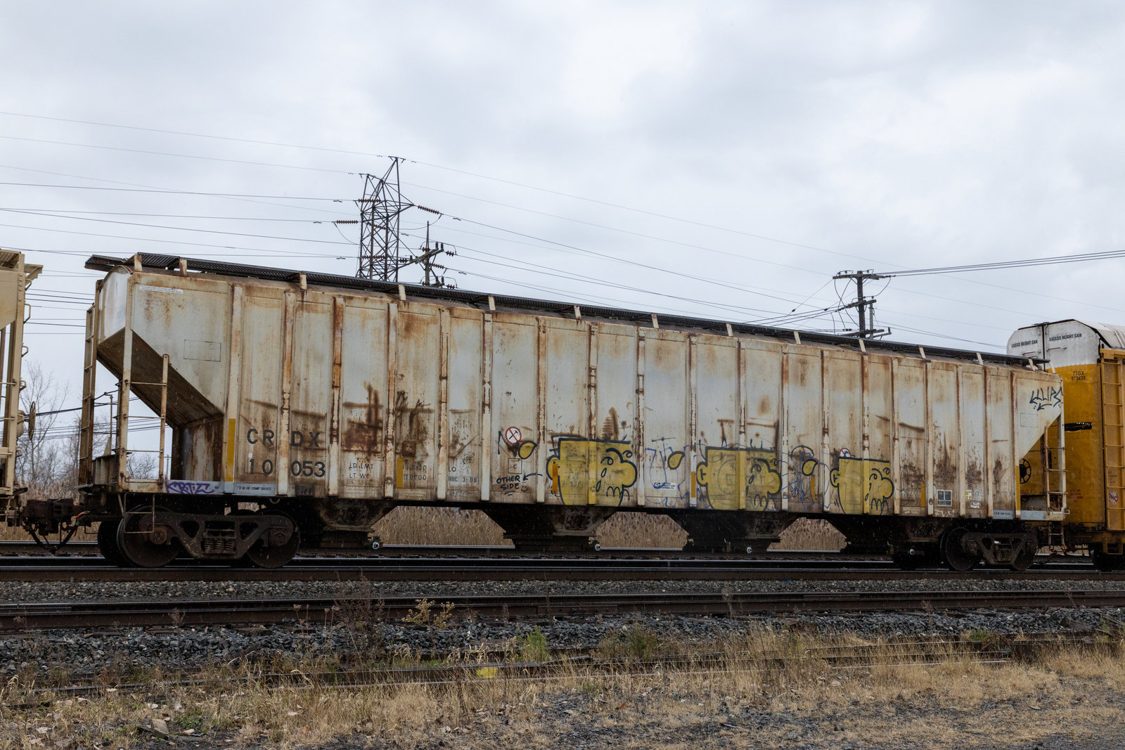 CRDX 10053