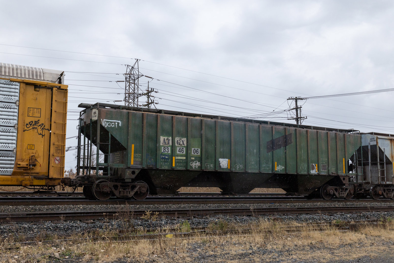 ATGX 834606