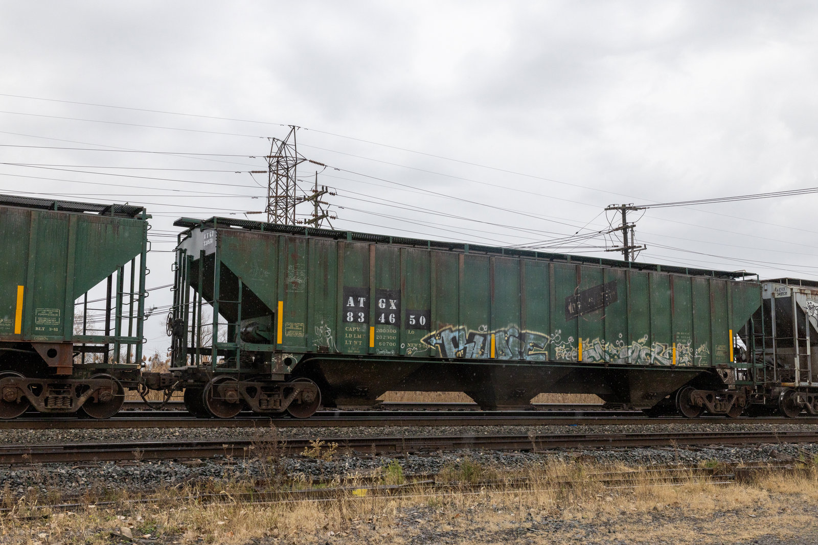 ATGX 834650